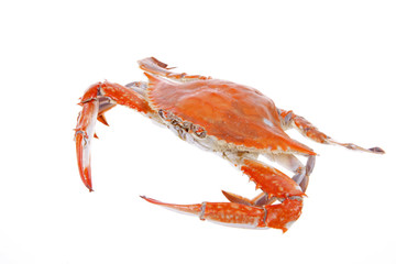Cooked crab