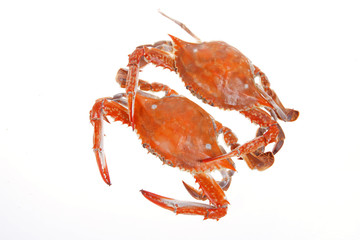 Cooked crab