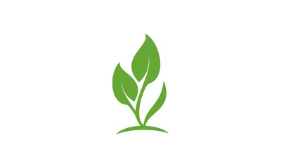 Eco icon green leaf logo