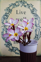 Sweet beautiful fragrant flower frangipani (plumeria) in vintage style background