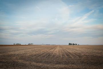 View of an empty corn field after harvest, under a sunset sky. - Powered by Adobe