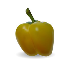 Yellow pepper on white background