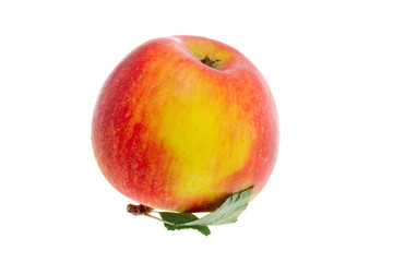one apple with a leaf on a white background