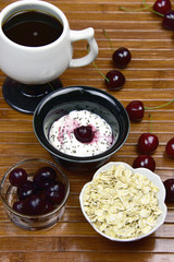 Probiotic Greek Style Yogurt