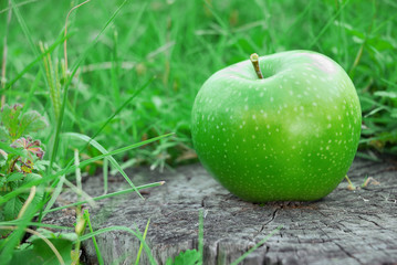 Fresh green apple on table outdoors