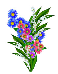 daisies summer white flower isolated on white background