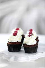 Beautiful chocolate cupcakes with cream and raspberries on table, close up