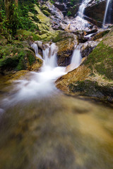 Naklejka na ściany i meble Beautiful river stream in tropical forest
