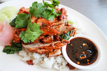 Rice with roast duck. BBQ Roast Duck over Rice