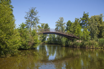 Fototapeta na wymiar Bridge in the forest 