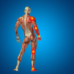 3D human man pain anatomy on blue background