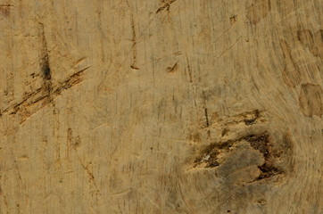 Fototapeta premium Embossed texture of rough wood with scratches. Vintage and retro motive