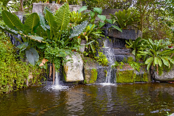 Fototapeta na wymiar Tropical garden, pond and plants