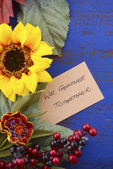 Happy Thanksgiving background with decorated borders.