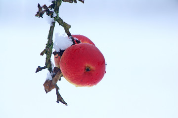 Winterzeit