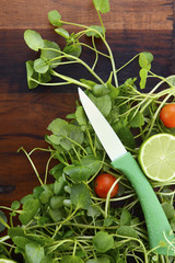 Salad Preparation with Watercess on Wooden Table.