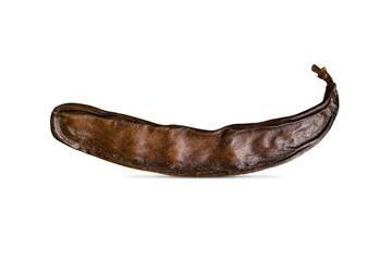 Carob, ceratonia siliqua