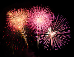 Fireworks light up the sky with dazzling display