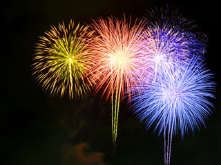 Fireworks light up the sky with dazzling display
