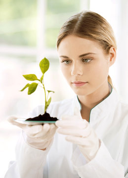 Young Biologist Experimenting In Laboratory