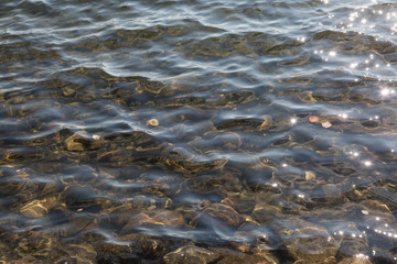 background of pure water with reflections of the sun