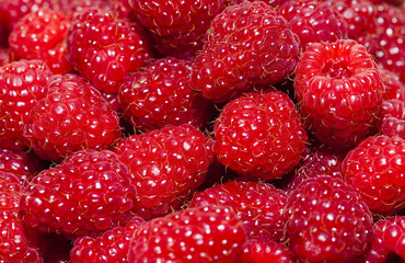 red raspberry   close-up  