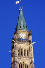 Fototapeta na wymiar Peace Tower in Ottawa