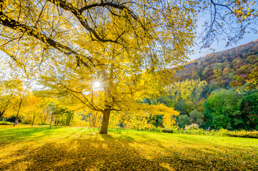 Fototapeta premium Herbstzeit
