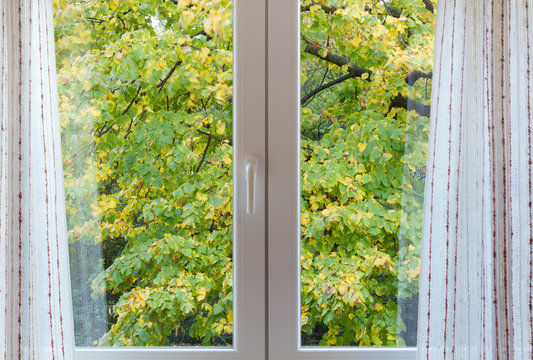 View through a Window on a Windy Autumn Afternoon