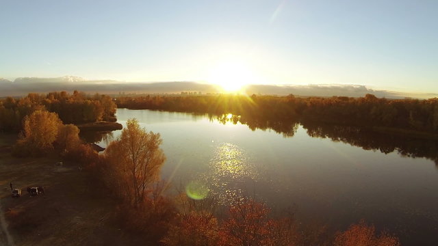 Autumn  at sunset time. River and yellow tree. Aerial.

