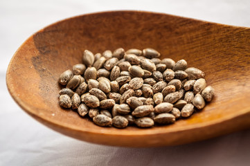 ripe cannabis seeds