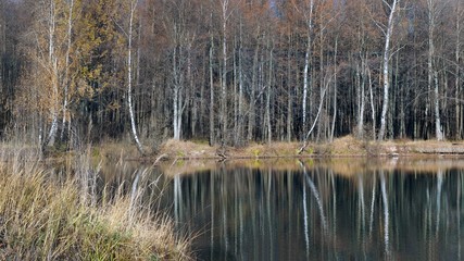 Поздняя осень. Озеро, деревья без листьев. Отражение...