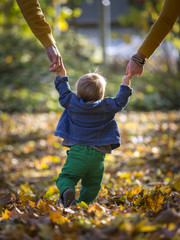 Fototapeta Kleinkind mit Eltern beim Spaziergang im Herbst obraz