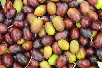 olives green and black