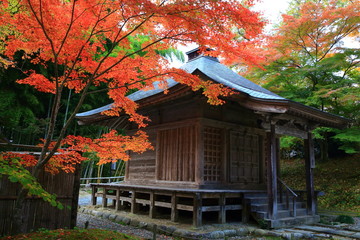 世界遺産　平泉中尊寺の紅葉