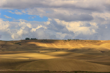 RURAL LANDSCAPE SUMMER.Between Apulia and Basilicata: Hills with fields of grain harvested..ITALY