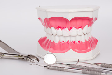 White teeth and dental instruments on white background