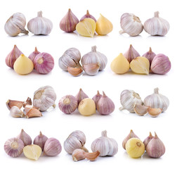 garlic on white background