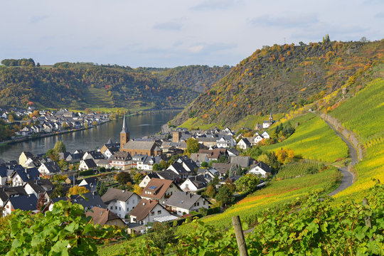 Weinberg bei Alken