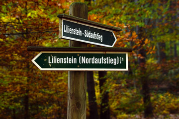 Wegweiser