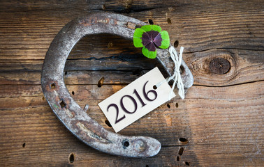 2016-Hufeisen-Klee
