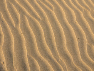 Sand waves background