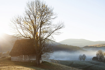 Small cottage in the mountains in the morning fog