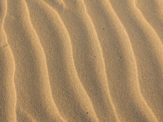 Sand waves background