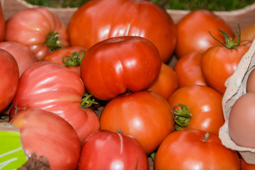 Fresh and organic village tomatoes and eggs.