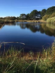 marais bord de mer