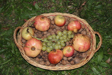 Composizione di frutta