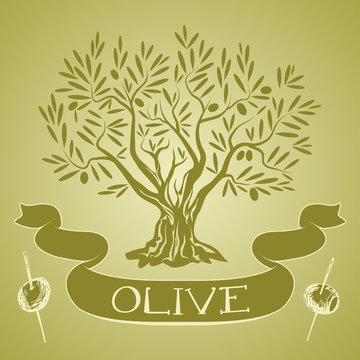 Olive tree with label and olive sticks
