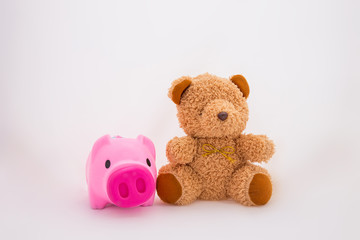 Teddy Bear and pink pig