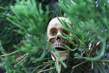 Toy skeleton for Halloween
